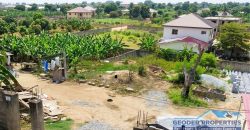 Land For Sale!