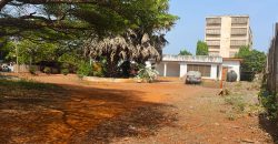 LAND FOR SALE!