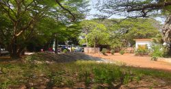 LAND FOR SALE!