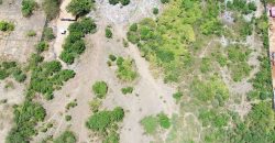 LAND FOR SALE!