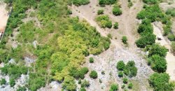 LAND FOR SALE!