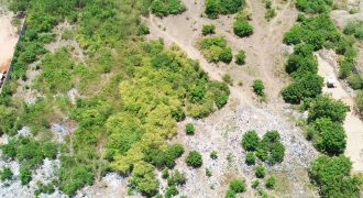 LAND FOR SALE!